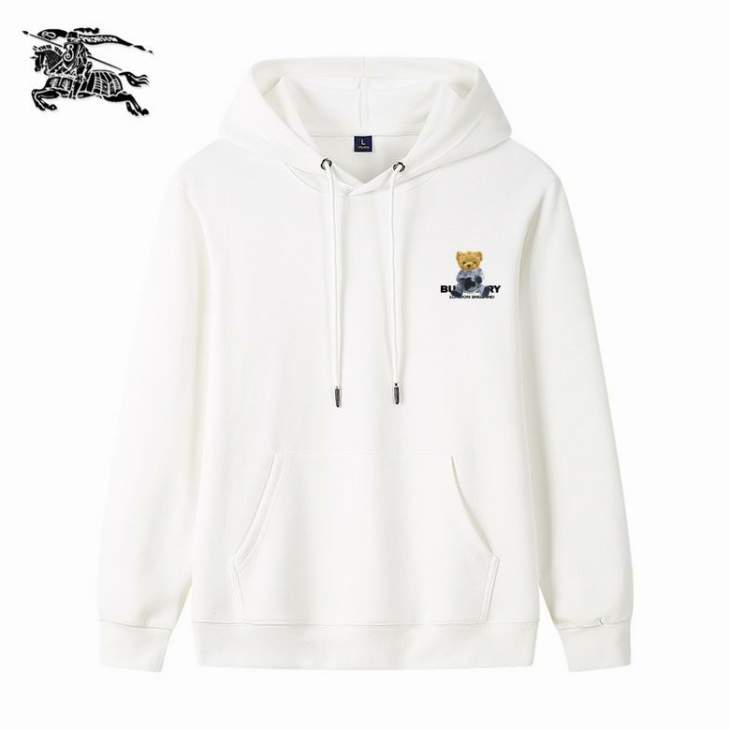 Picture of Burberry Hoodies _SKUBurberryM-3XL25tn041712